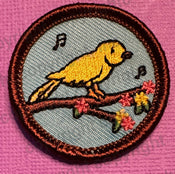 Birds (1.5 inch patch)