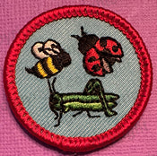 Bugs and insects (mini 1.5 inch)