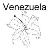 Country Rubber Stamps - South America