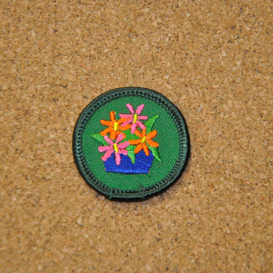 Art in the Home (Junior Badge)