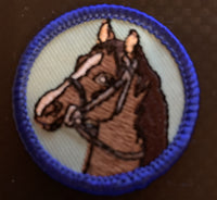 Horses / Equestrian
