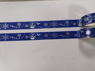 Winter Wizarding Snowglobe Washi