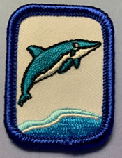 Marine Life (Dolphin)