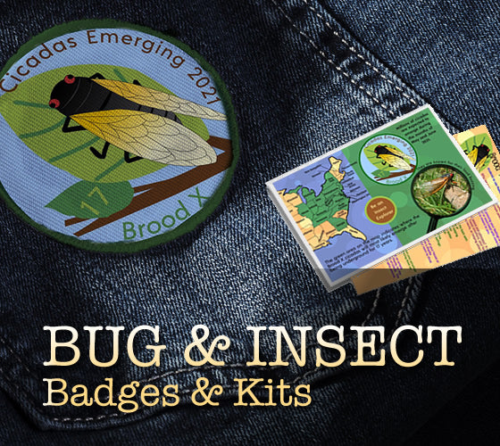 Bug & Insect Badges & Kits