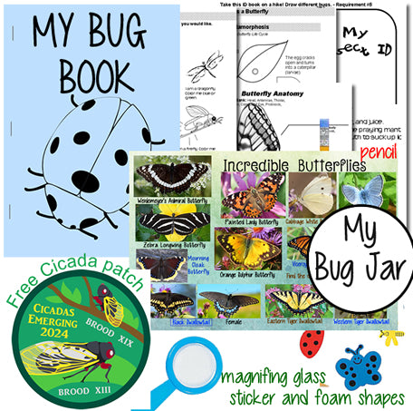 BUGS Kit - Brownies Earn BUGS (3 options)