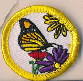 Dolly Parton Patch
