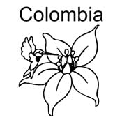 Country Rubber Stamps  - South America