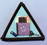 Scrapbook Kit (BR-JR-CAD-SEN-AMB earn badges)
