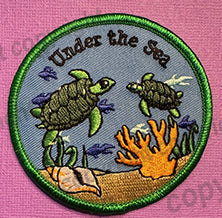 DANCE OR SPECIAL EVENT THEME PATCHES