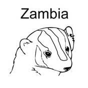 Country Rubber Stamps - Africa