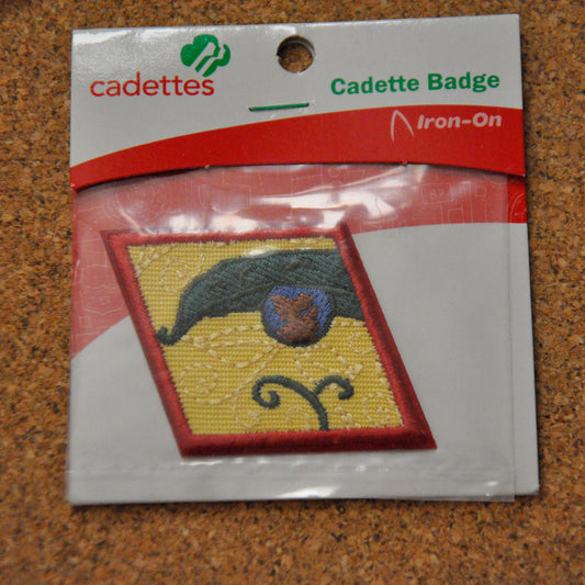 New Cuisines (Cadette Badge)