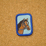 Horses / Equestrian