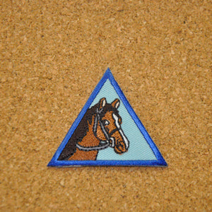 Horses / Equestrian