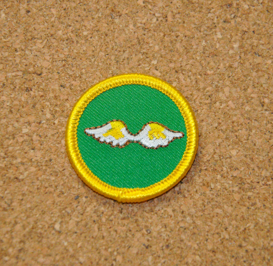 Bridging (Junior Badge)